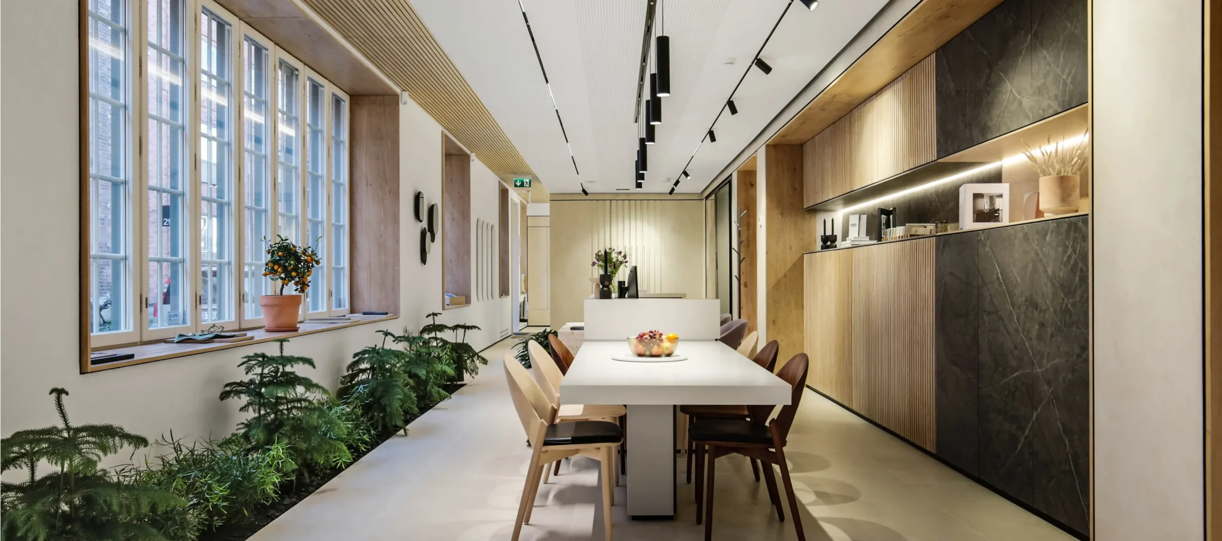 reggiani lights bright 2